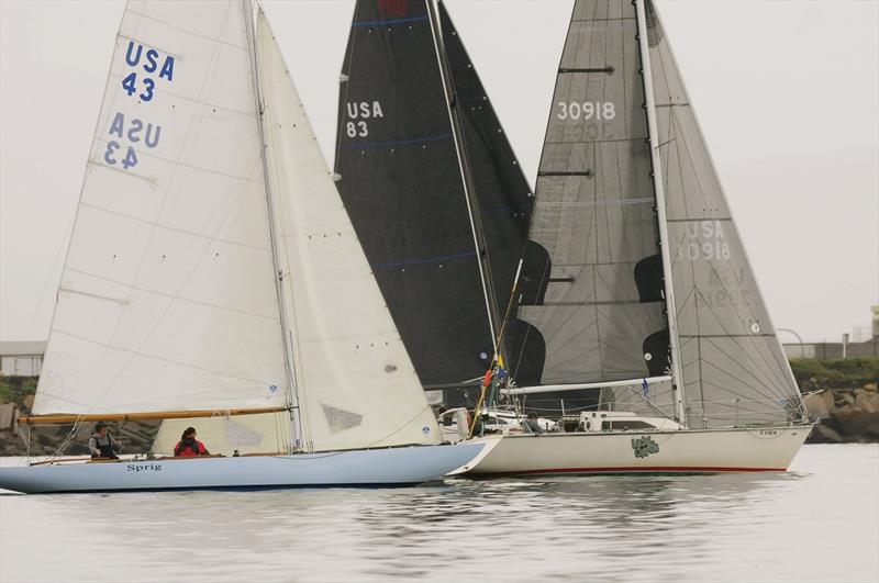 2019 Hot Rum Series  photo copyright San Diego Yacht Club taken at San Diego Yacht Club and featuring the IRC class