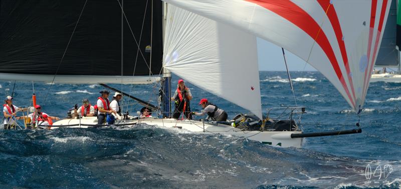 Time to get the weight of the foredeck me thinks - 2019 RSHYR photo copyright Mitch Pearson / Surf Sail Kite taken at Cruising Yacht Club of Australia and featuring the IRC class