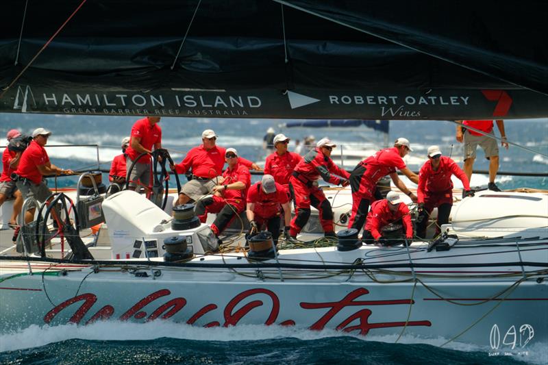 Crew at work Wild Oats XI - 2019 RSHYR photo copyright Mitch Pearson / Surf Sail Kite taken at Cruising Yacht Club of Australia and featuring the IRC class