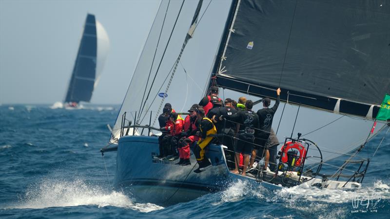 TP52 Smuggler - 2019 RSHYR photo copyright Mitch Pearson / Surf Sail Kite taken at Cruising Yacht Club of Australia and featuring the IRC class