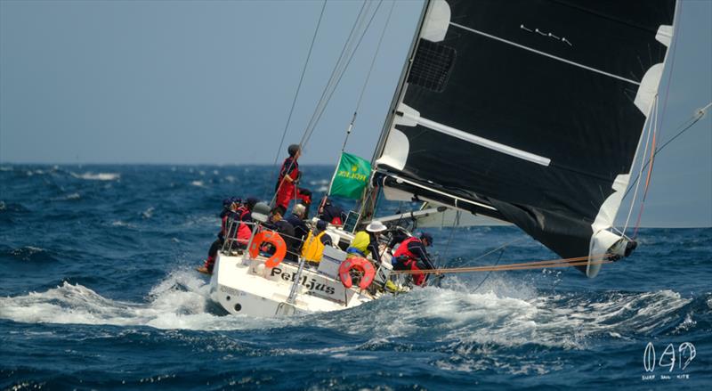 The Radford 50 - Pekljus - 2019 RSHYR - photo © Mitch Pearson / Surf Sail Kite