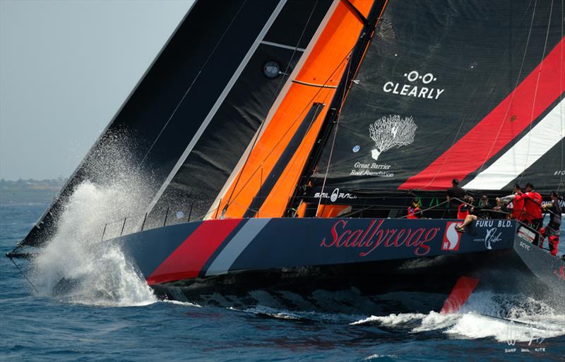 Scallywag - 2019 RSHYR photo copyright Mitch Pearson / Surf Sail Kite taken at Cruising Yacht Club of Australia and featuring the IRC class