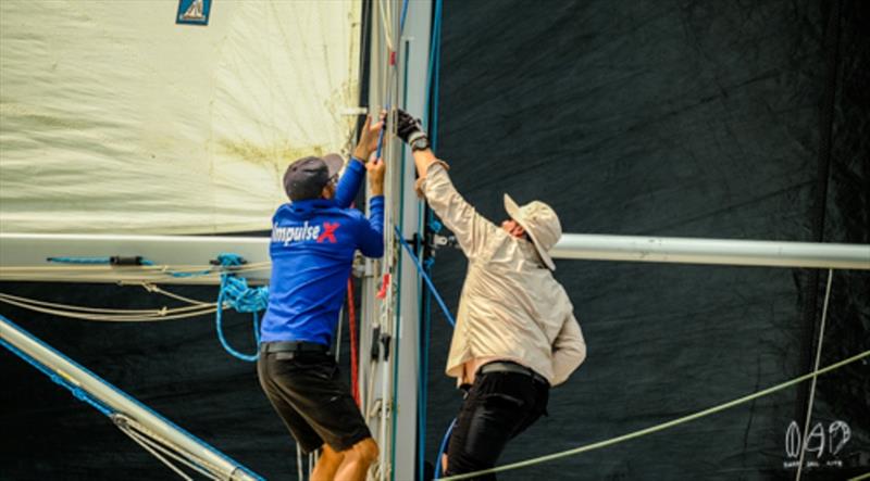 Bartercard Sail Paradise 2020 day 4 - photo © Mitch Pearson / Surf Sail Kite