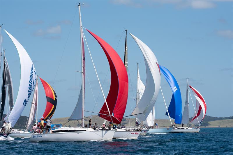 Bay of Islands Sailing Week, 2019 - photo © Lissa Reyden