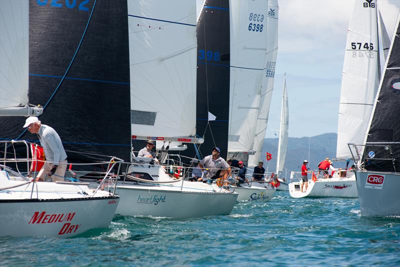 Young 88 - CRC Bay of Islands Race Week - Day 3 - January 2020 - Bay of Islands Yacht Club photo copyright Lissa Reyden taken at Bay of Islands Yacht Club and featuring the IRC class