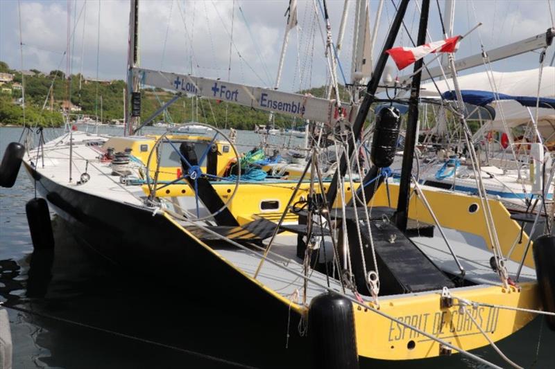 Already in Antigua - VO60 Esprit de Corps III from Canada photo copyright Louay Habib taken at Royal Ocean Racing Club and featuring the IRC class