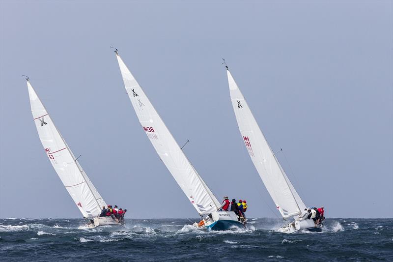 Sydney Harbour Regatta 2018 photo copyright Andrea Francolini taken at Middle Harbour Yacht Club and featuring the IRC class