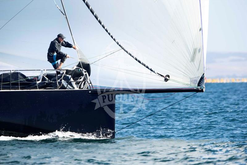 Chinese Whisper competing in the Teakle Classic Lincoln Week Regatta - photo © Bugs Puglisi