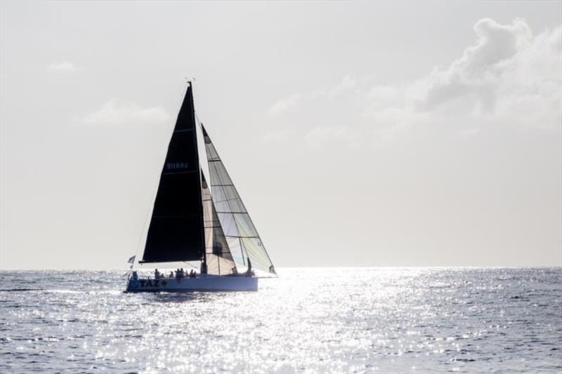 Enjoying his 12th RORC Caribbean 600 - Bernie Evan Wong's Taz - photo © Arthur Daniel / RORC