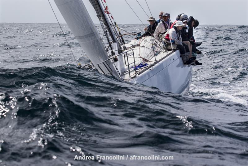 Wake up Jeff - that guy on the rail is meant to be having a ball - Walea  photo copyright Andrea Francolini taken at Middle Harbour Yacht Club and featuring the IRC class