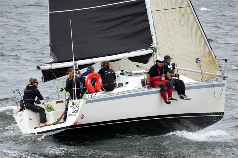 Young Lion, a Young 88 will be raced by Derwent Sailing Club immediate past Commodore Steve Chau photo copyright Peter Watson taken at  and featuring the IRC class
