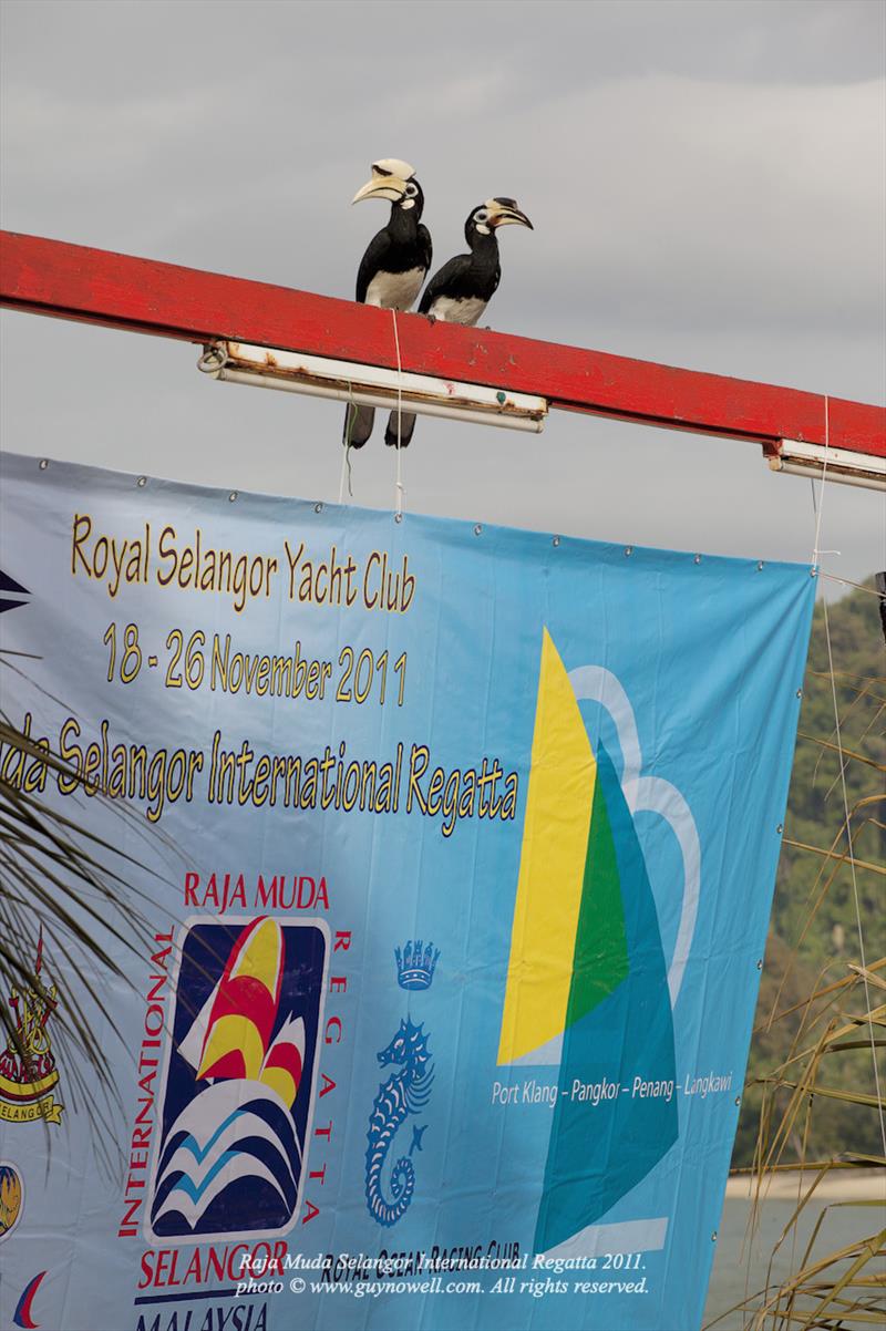Raja Muda Selangor International Regatta - photo © Guy Nowell