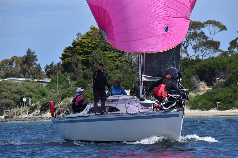 Division Three's Young Lion (Steve Chau) - Combined Clubs Summer Pennant Series photo copyright Jane Austin taken at Royal Yacht Club of Tasmania and featuring the IRC class