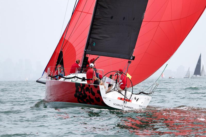 Scarlet Runner the J/111 that will remain the inshore weapon of choice to sail on Melbourne's Port Phillip. - photo © A J McKinnon Photography