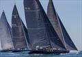 © Daniel Forster Jack LeFort’s Challenge XII (KA-10), a competitor in upcoming 12 Metre North American Championship, is shown here at 2019 12 Metre World Championship, which she won. In the background are Courageous (US-26) ; Freedom (US-30); and Victory ’83 (K-22) © Daniel Forster