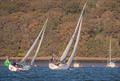 Wizard during the Medway Yacht Club Cruiser Autumn Series 2021