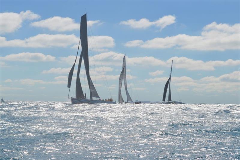 2019 Pineapple Cup-Montego Bay Race photo copyright Pineapple Cup taken at Montego Bay Yacht Club and featuring the IRC class