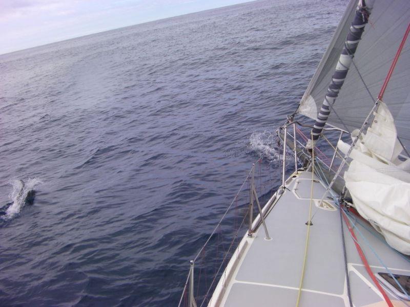 Cape Horn – The calm before the storm photo copyright Global Solo Challenge taken at  and featuring the IRC class