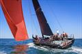Scarlet Runner could cause an upset - Melbourne to Hobart Yacht Race © Salty Dingo
