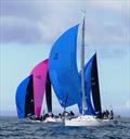 Altair and Class 1 spinnakers during the Royal Channel Islands Yacht Club Spring Regatta 2022 © Bill Harris