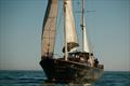 The Impossible Machine (TIM) - Cape2Rio race