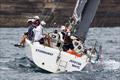 Stormaway's owners want to lose the 'bridesmaid' tag - Sydney Short Ocean Racing Championship © Andrea Francolini