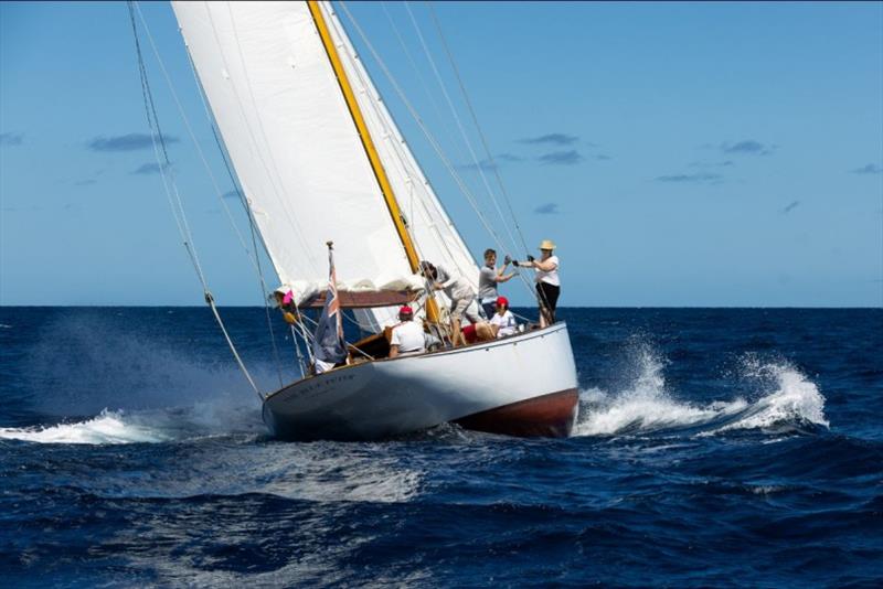 Mathew Barker's 1930 Alfred Mylne sloop The Blue Peter - Island Water World Grenada Sailing Week day 1 photo copyright Arthur Daniel taken at  and featuring the IRC class