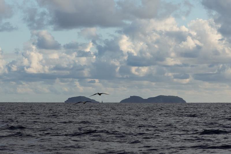 Island Water World Grenada Sailing Week day 1 photo copyright Grenada Sailing Week taken at  and featuring the IRC class