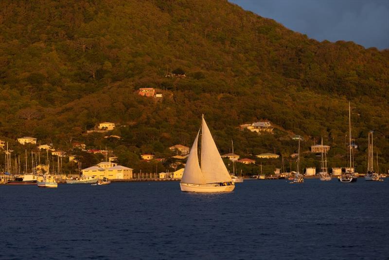 Island Water World Grenada Sailing Week day 1 photo copyright Grenada Sailing Week taken at  and featuring the IRC class