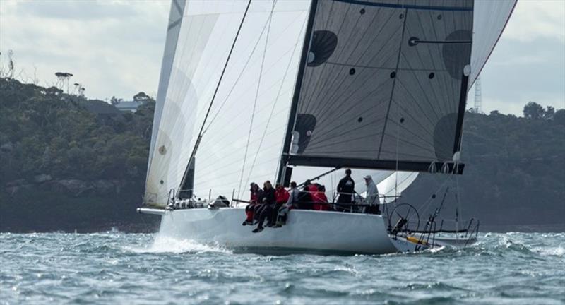 Koa during a CYCA Winter Series race - photo © CYCA