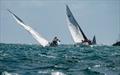 Bay of Islands Sailing Week - January 2023