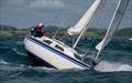 Bay of Islands Sailing Week - January 2023
