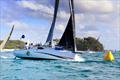 Sunfish PHS Div 2 winner - Sail Port Stephens Day 5 © Promocean Media