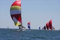 2023 Bastille Regatta © Rosalie Dolan