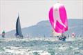 © David Harding / www.sailingscenes.com Scherzo of Cowes, GBR73R, SandS Swan 36, during the 2023 Round the Island Race © David Harding / www.sailingscenes.com