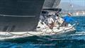 J/145 Palaemon - Hot Rum Series 2023 © San Diego YC / Mark Albertazzi