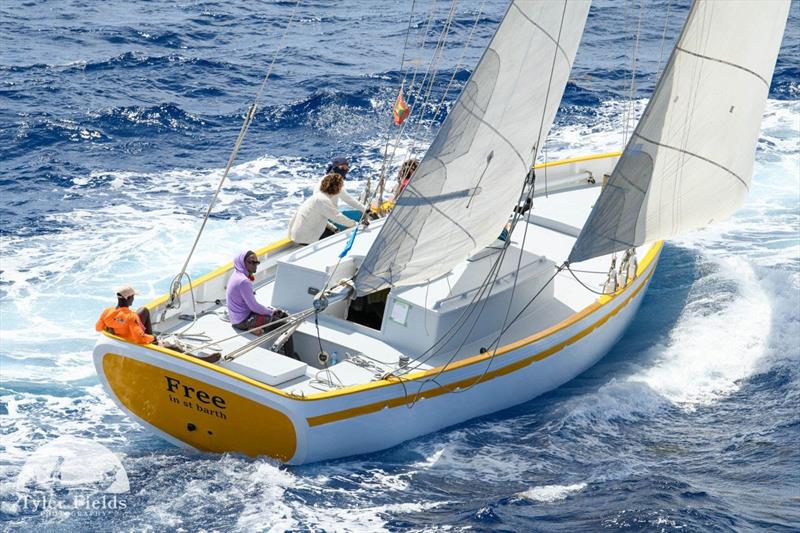 Free in St Barth traditional 43' sloop came second her in class - 2023 Antigua Classic Yacht Regatta - photo © Tylex Fields