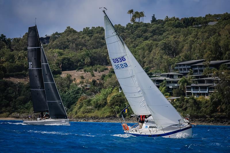 Hamilton Island Race Week - Halcyon trailable victor photo copyright Salty Dingo taken at Hamilton Island Yacht Club and featuring the IRC class