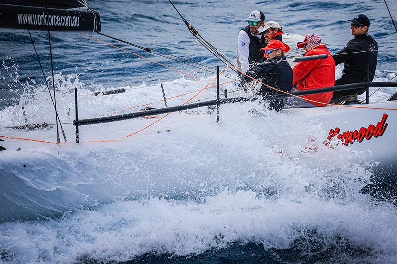 Hamilton Island Race Week - Ray Roberts' Team Hollywood Rating Div 4 winner photo copyright Salty Dingo taken at Hamilton Island Yacht Club and featuring the IRC class