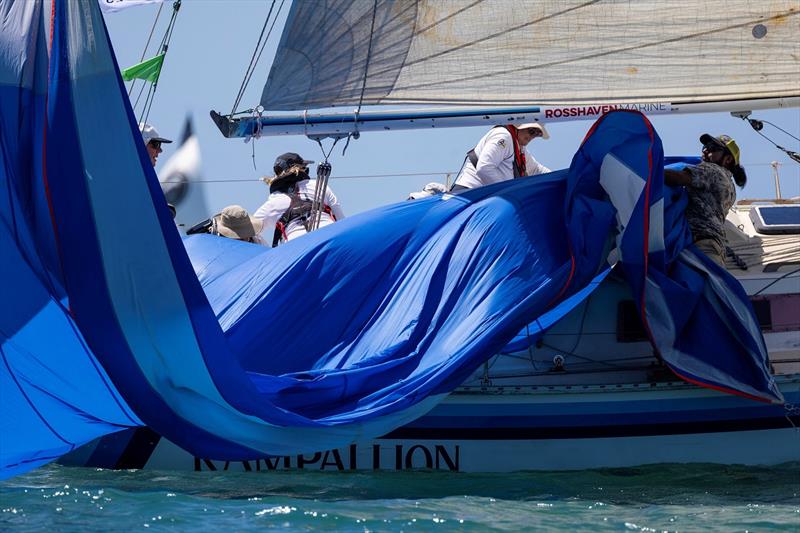 Rampallion crew saving their kite from the drink - SeaLink Magnetic Island Race Week photo copyright Andrea Francolini / SMIRW taken at Townsville Yacht Club and featuring the IRC class