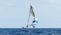 Knight Star's twist approaching the Banchenou during the Waller-Harris Two-handed Triangle Race © Bill Harris