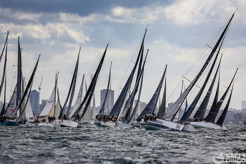 2024 Festival of Sails Passage Race photo copyright Salty Dingo taken at Royal Geelong Yacht Club and featuring the IRC class