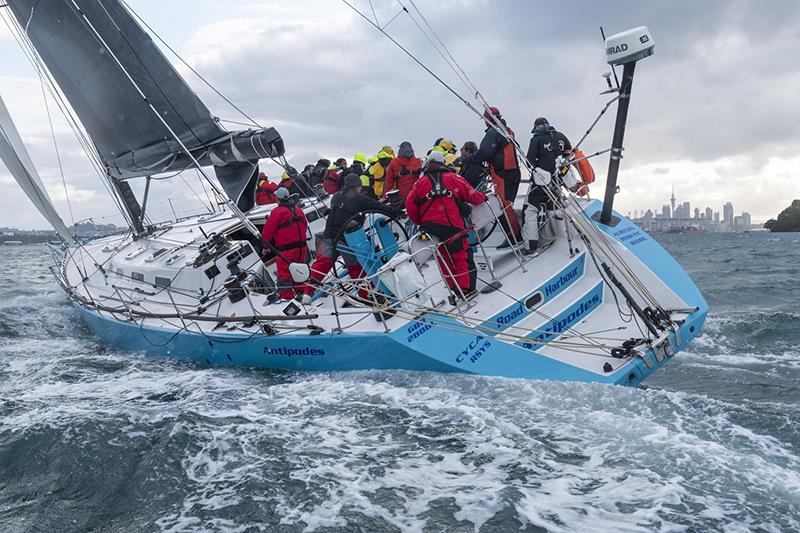 Antipodes finishes the Sydney to Auckland Ocean Race photo copyright Royal Prince Alfred Yacht Club taken at Royal Prince Alfred Yacht Club and featuring the IRC class