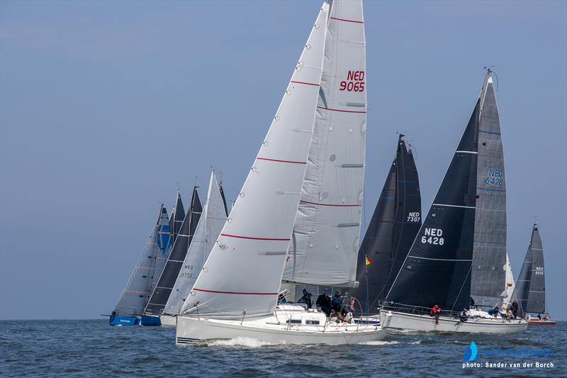 North Sea Regatta 2024 Concludes Successfully