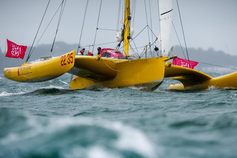 Newick 39 Blackcap - 2024 Cowes Dinard St Malo Race - photo © Paul Wyeth / RORC