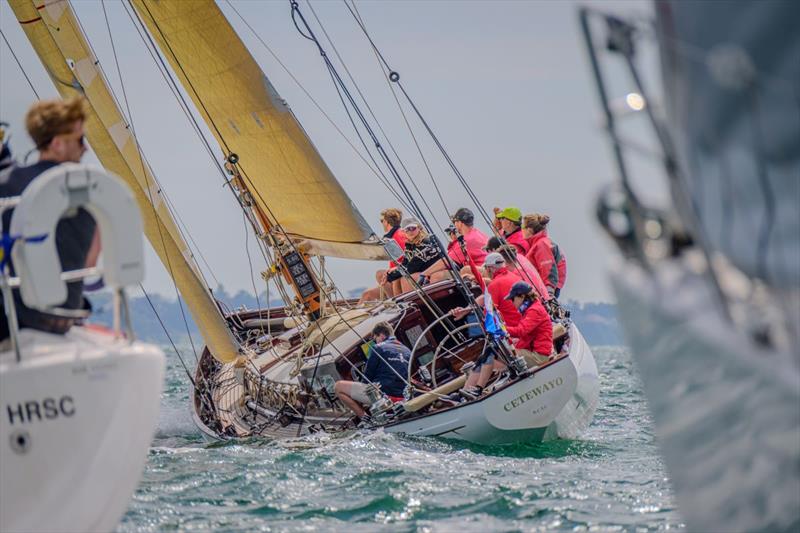 Taittinger Royal Solent Yacht Club Regatta - photo © Tim Jeffreys