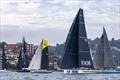 Overall race winner, Voltstar Yeah Baby (with yellow accents in the main) and URM Group leaving Sydney Harbour © CYCA | Andrea Francolini