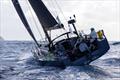© Tim Wright RORC Caribbean 600 - finish line Day 5 © Tim Wright
