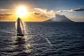 © Kurt Arrigo