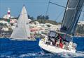 Newport Bermuda Race